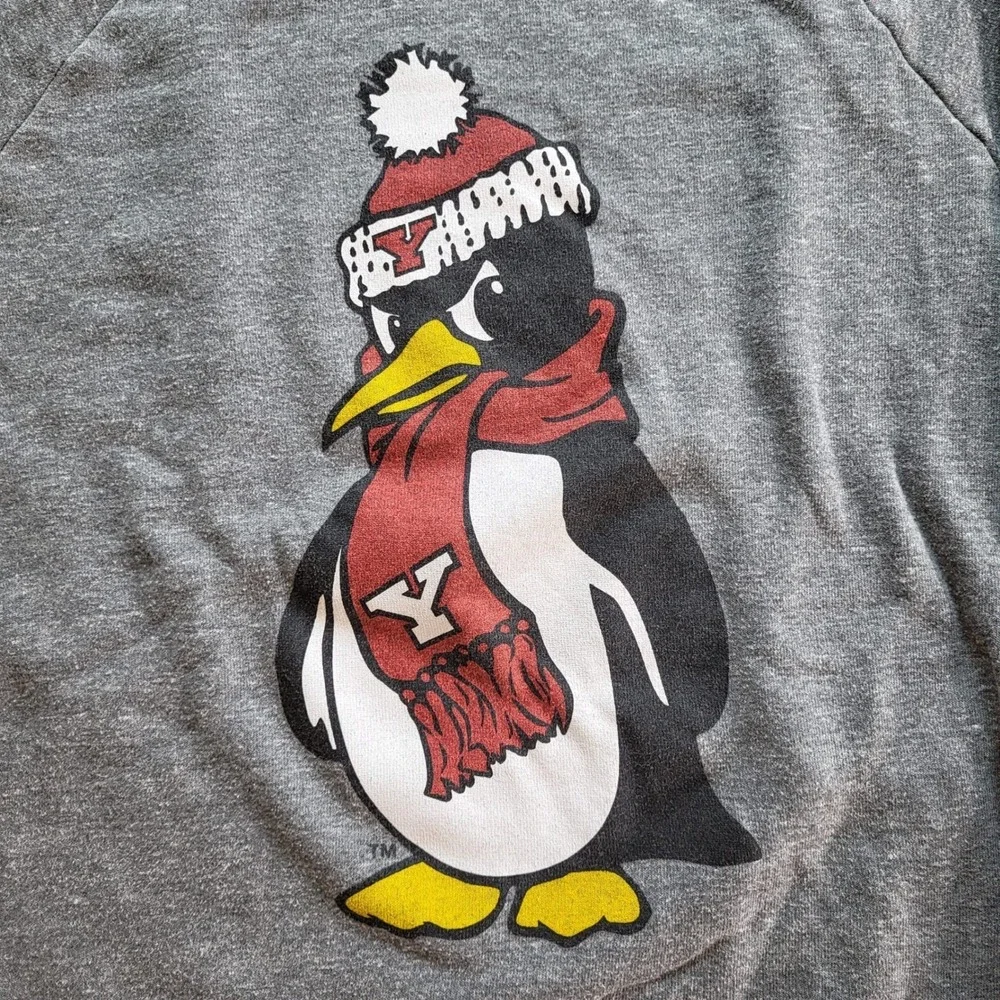 Youngstown Clothing Co Penguin Sweatshirt Mens Medium Gray YSU Mascot Tri-Blend